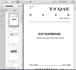 t cqae 11008 2019軟件產(chǎn)品說明編寫指南19頁